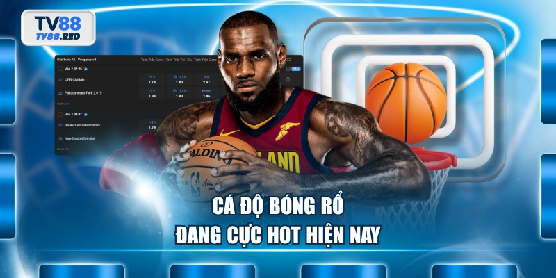 Cá độ bóng rổ đang cực hot hiện nay